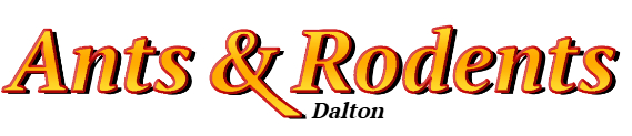 Dalton Ant Exterminator & Rodent Control Company Logo